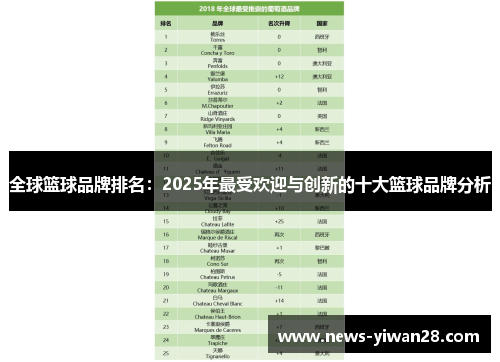 全球篮球品牌排名：2025年最受欢迎与创新的十大篮球品牌分析