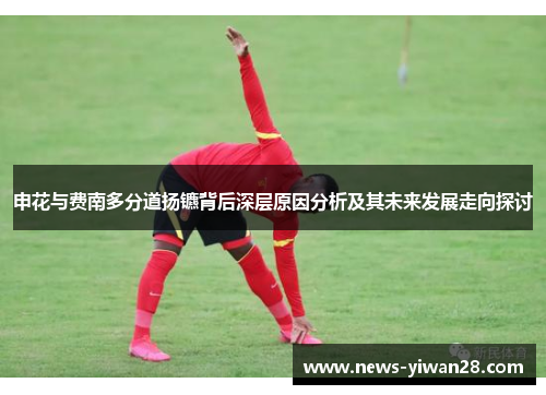 申花与费南多分道扬镳背后深层原因分析及其未来发展走向探讨