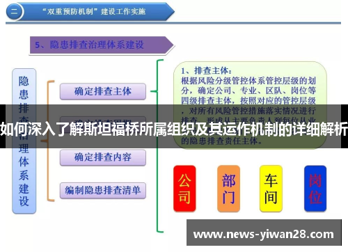 如何深入了解斯坦福桥所属组织及其运作机制的详细解析